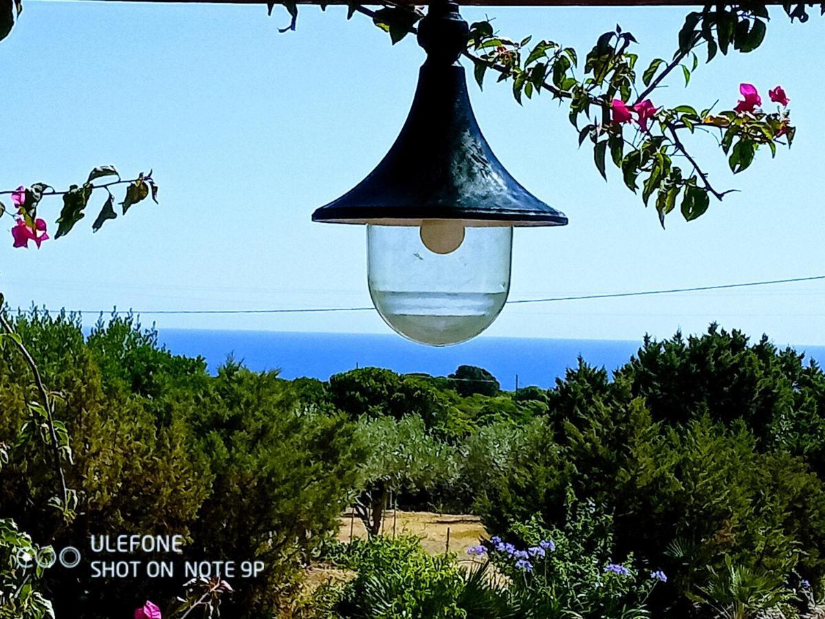 Maison d'hôtes Arcamyrtus à Alghero Extérieur photo
